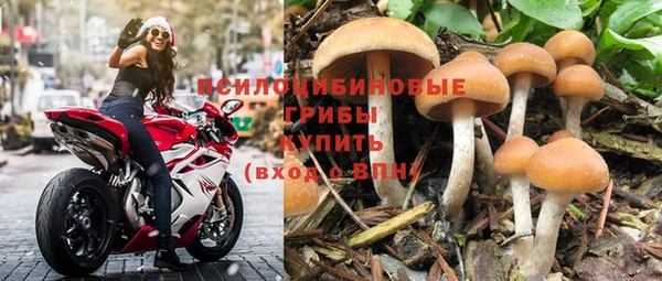 спиды Заволжье