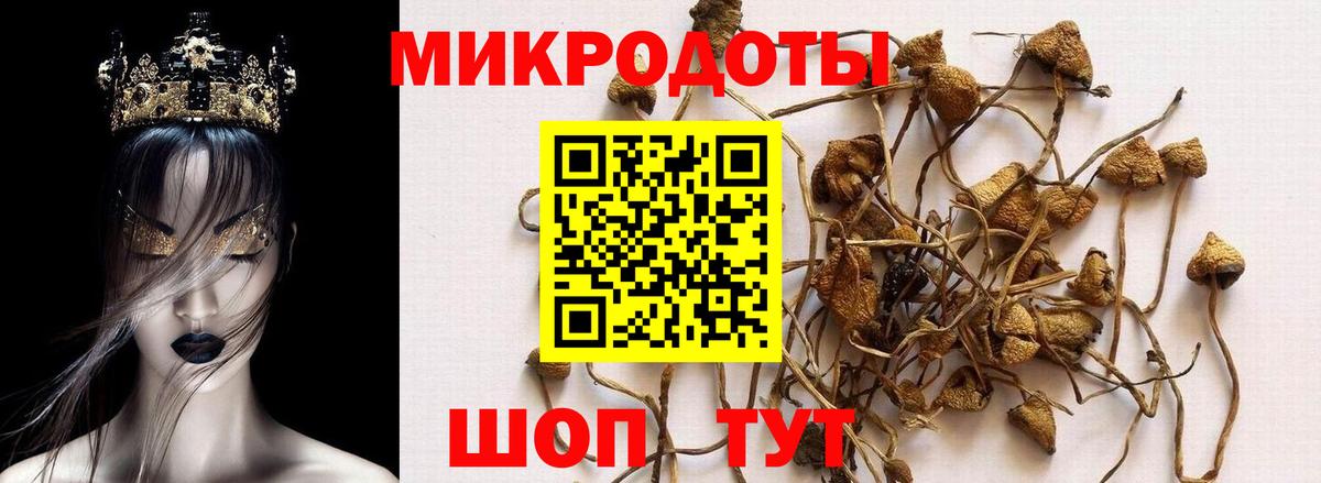 Галлюциногенные грибы Magic Shrooms  Вход с VPN  Каменск-Уральский 