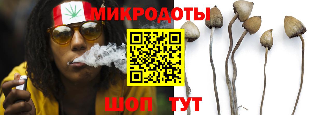 Галлюциногенные грибы GOLDEN TEACHER Каменск-Уральский